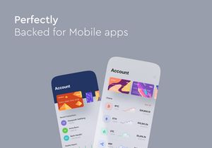 Cardzzz fintech and E-wallet card