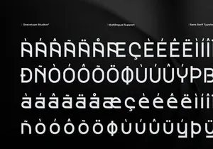 Neister | Sans Serif Typeface