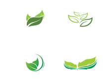 natural leaf logo