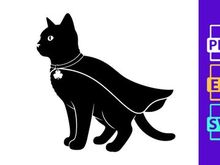 Black cat in cape and shamrock charm