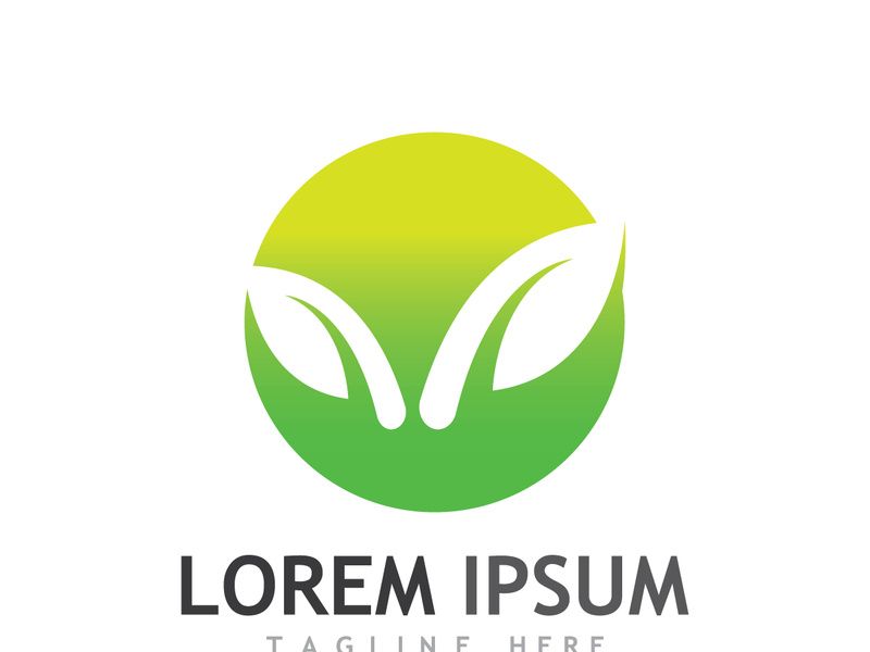 Colorful natural leaf logo design.