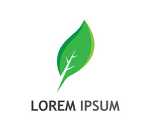 Natural green leaf logo design.