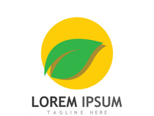 Natural green leaf logo design.