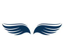 Wing bird logo vector