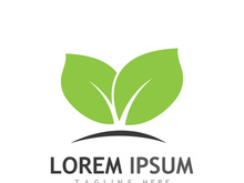 Natural green leaf logo.