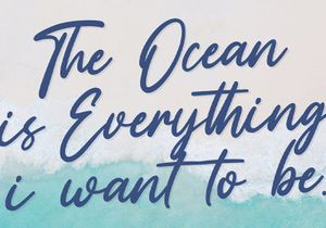 Vaizonlly - Bold Script Font