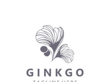 Ginkgo leaf biloba logo nature. Healthy ingredient that is used in medicine for disease treatment with line art style design