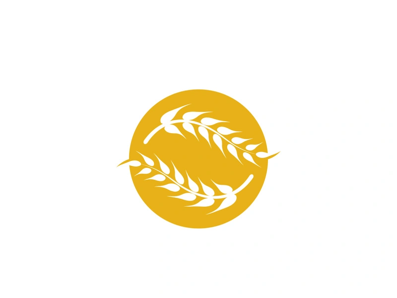 Agriculture wheat vector