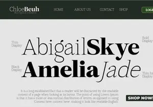 Mount Sagilite – Modern Serif Family Typeface with Variable Font