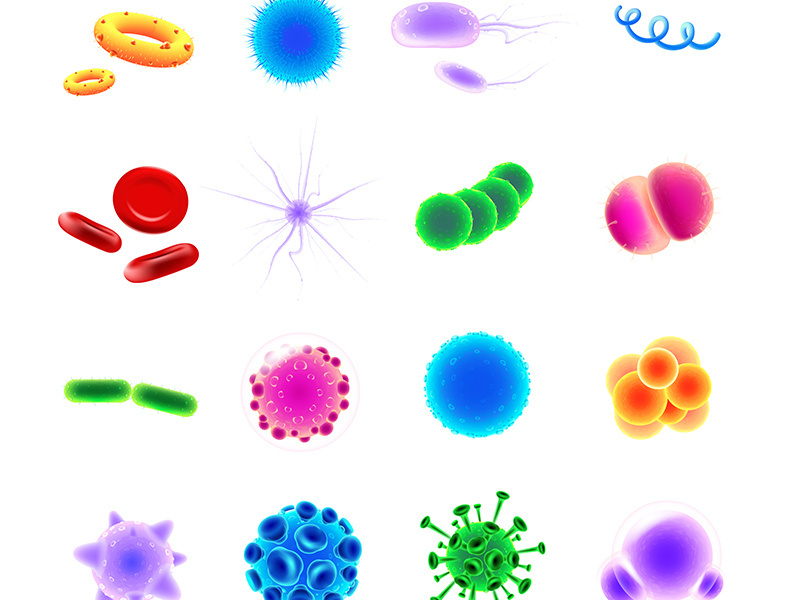 Bacteria types realistic vector icons set