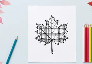 Close-up of a detailed autumn maple leaf. Natural fall foliage with vibrant colors.