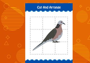 10 Pages Cut and arrange with a bird worksheet for kids. Educational game for children