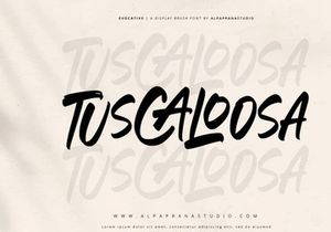 Evocative - Brush Font