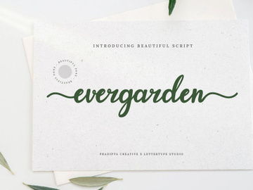 Evergarden Beautiful Script Font preview picture