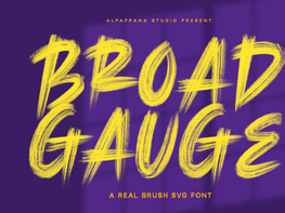 Broad Gauge - SVG Font preview picture
