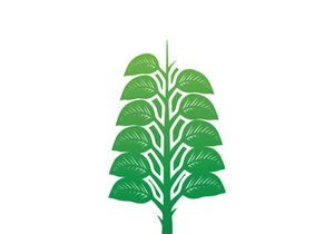 Leaf logo