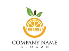 Orange logo design Vector icon illustration design