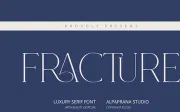 Fracture - Serif Font