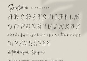 Singleton - Signature Font