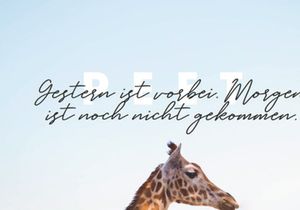 Free Peet Minimalist PowerPoint Template