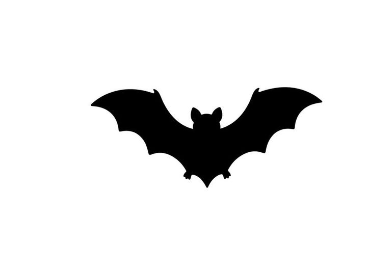 Silhouette of a Bat in Flight for Halloween or Nighttime Themes