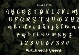 Sunshine - Script Font