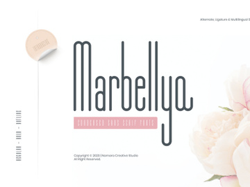 Marbellya Condensed Sans Serif Fonts preview picture