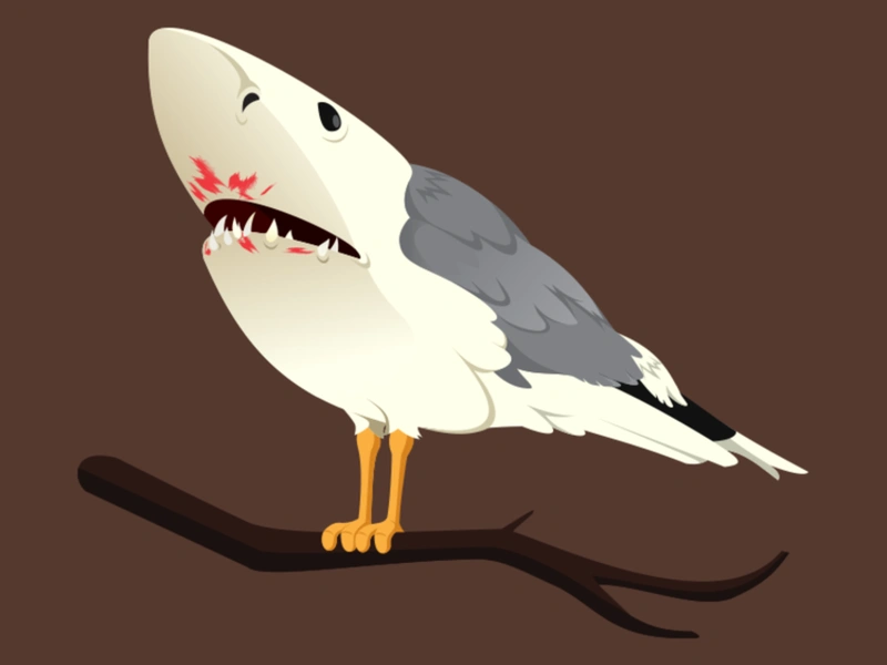 Shark Bird illustration