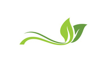 Nature leaf eco green logo icon