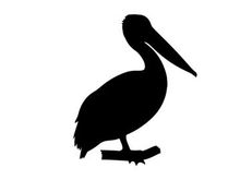 Silhouette of a pelican standing on a branch