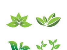 Logos of green tree leaf ecology nature element vector