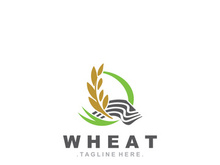 Wheat logo concept, agriculture nature wheat grain logo template
