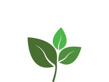 Logos of green tree leaf ecology nature element vector