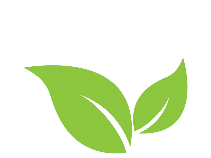 Leaf logo vector icon design template