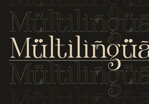 Klandestin Modern & Classical Serif