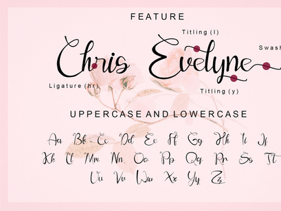 Evelyne - Modern Calligraphy font