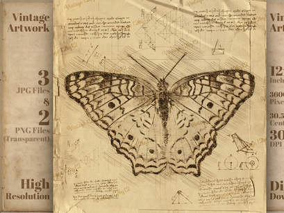 Butterfly in Vintage Steampunk Da Vinci Drawing Style