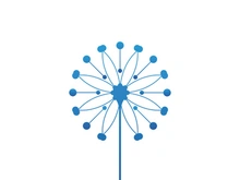 Dandelion flower logo vector