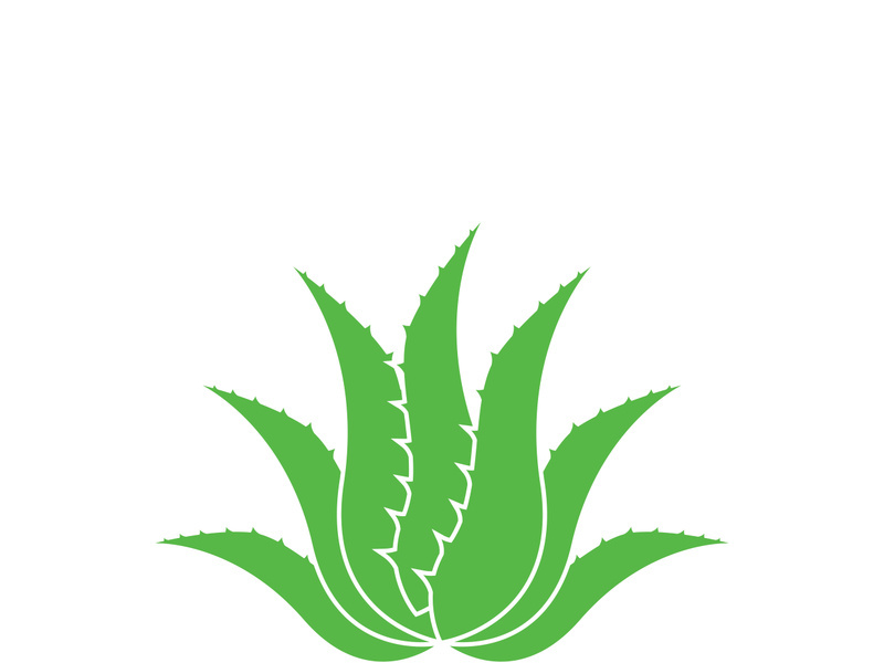 Aloe Vera logo icon design symbol beauty skin care