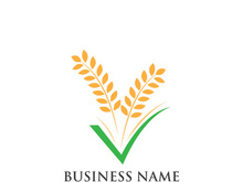 Agriculture wheat logo and symbol vector
