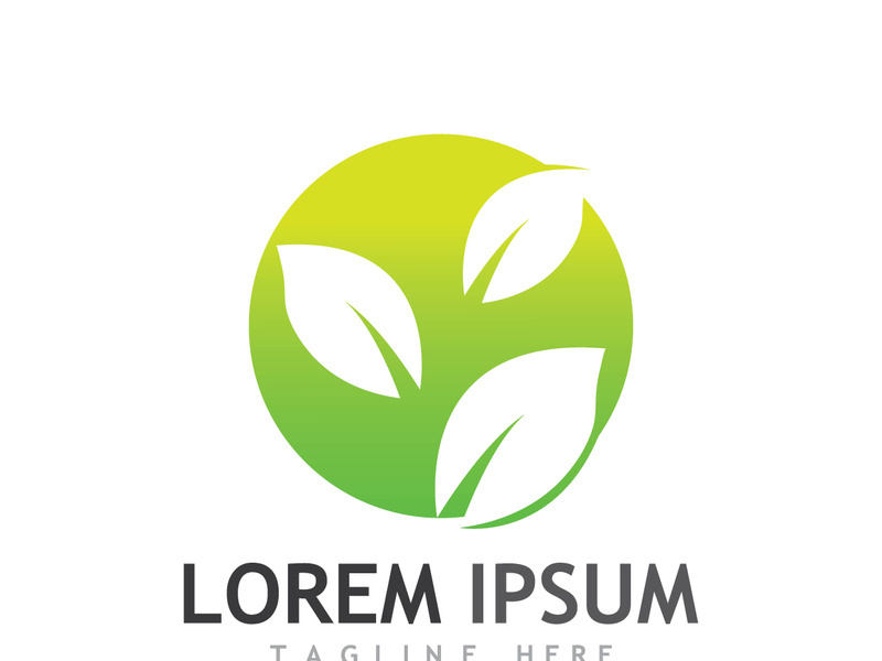 Colorful natural leaf logo design.