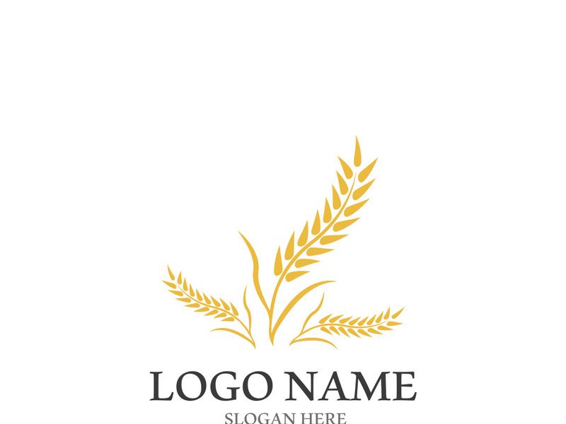 Wheat logo vector icon illustration design