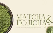 Orlington - Serif Font