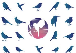 Animals : Silhouette Collection With Logo