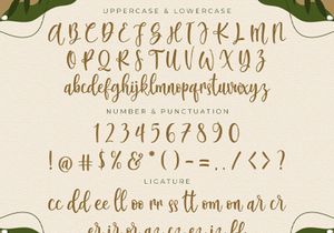Britany Queens - Handwritten Font