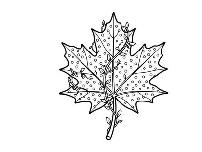 Close-up of a detailed maple leaf with water droplets. Autumn nature scene with vibrant foliage and fresh morning atmosphere.
