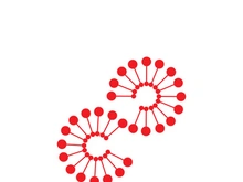 Dandelion flower logo vector