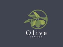 Olive Oil Logo, Olive Leaf Plant Herbal Garden Vector