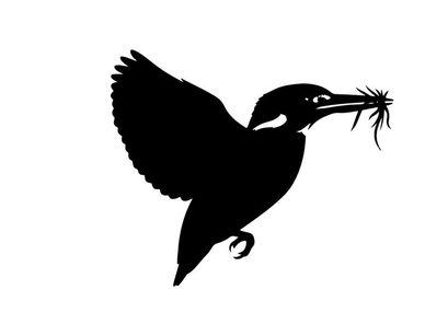 Silhouette of a bird in flight with twigs in its beak
