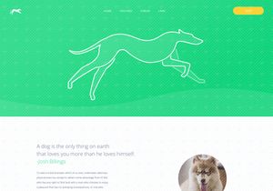 Greyhound Website UI